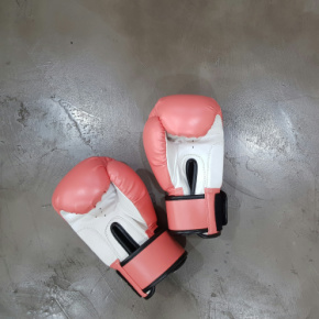 継続的改善ツールでの闘い：SmartsheetとMinitab Engageの比較